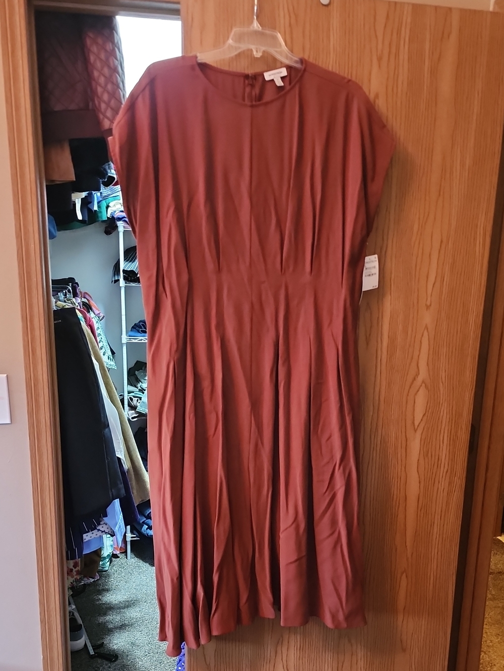 Nordstrom Rust Midi Dress with Pleated Skirt